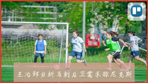 王治郅分析马刺后卫需求称尼克斯达拉斯后卫表现出色