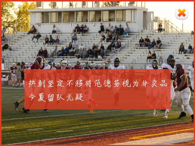 热刺坚定不移将范德芬视为非卖品今夏留队无疑